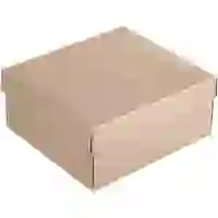 На картинке: Коробка Common, XL на белом фоне