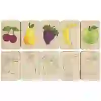На картинке: Карточки-раскраски Wood Games, фрукты на белом фоне