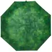 На картинке: Зонт складной Evergreen на белом фоне