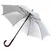 На картинке: Зонт-трость Standard, серебристый на белом фоне