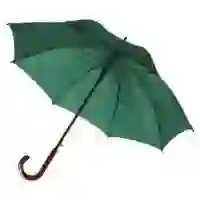 На картинке: Зонт-трость Standard, зеленый на белом фоне