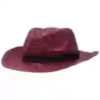 На картинке: Шляпа Daydream, красная с черной лентой на белом фоне