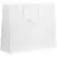 На картинке: Пакет «Крафт», L, белый на белом фоне