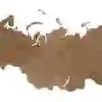 На картинке: Деревянная карта России, орех на белом фоне