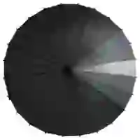На картинке: Зонт-трость «Спектр», черный на белом фоне